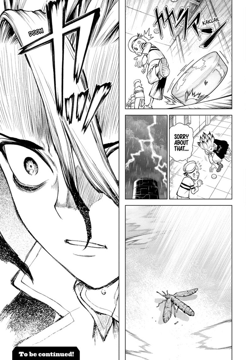 Dr Stone 232g 44