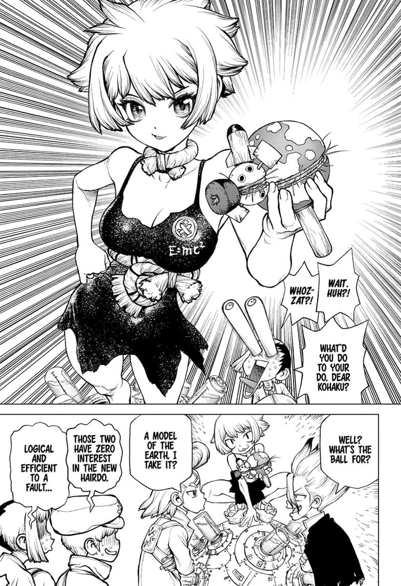 Dr Stone 232g 8