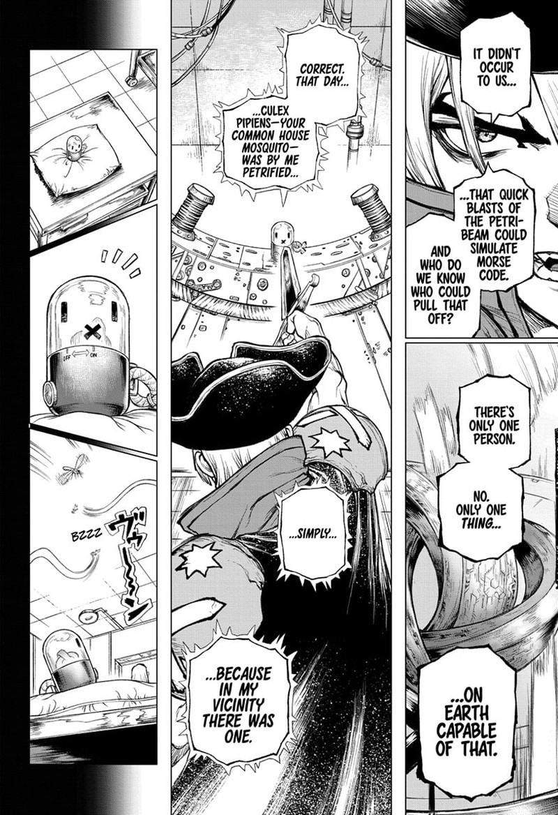 Dr Stone 232h 12