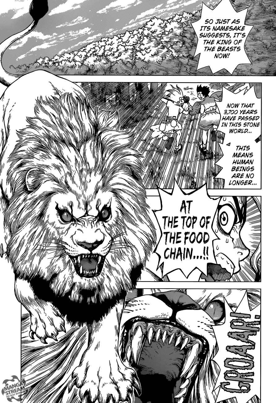 Dr Stone 3 7