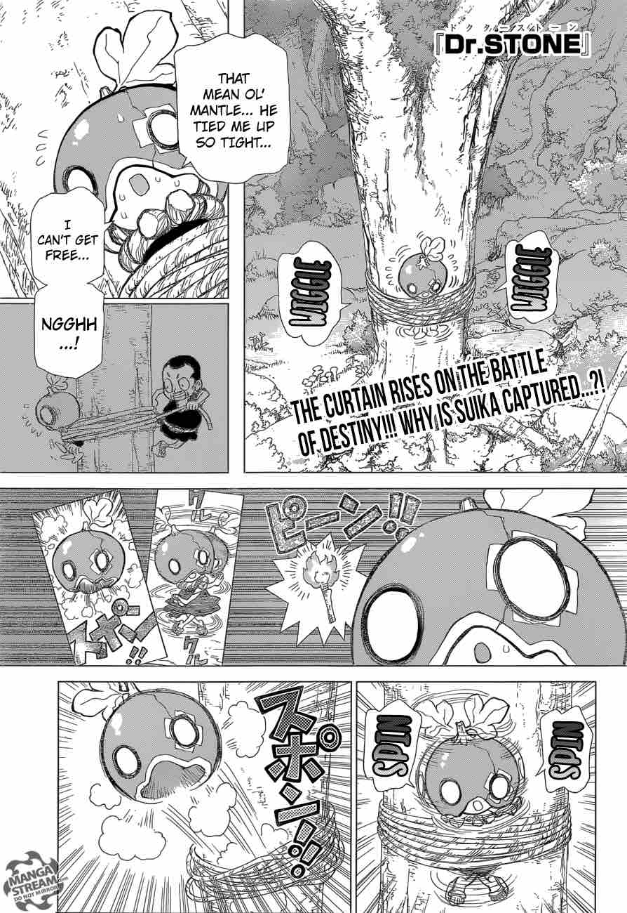 Dr Stone 35 1