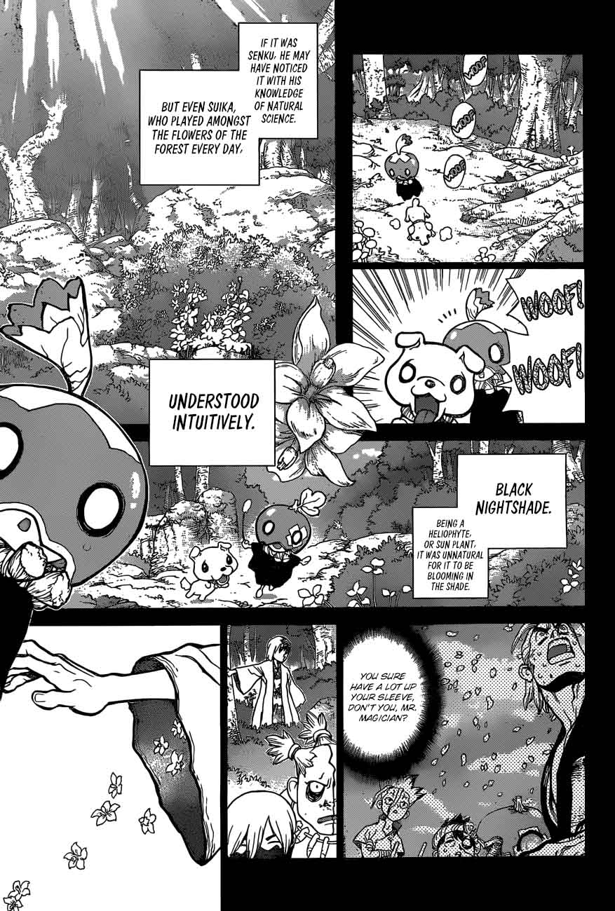 Dr Stone 48 15