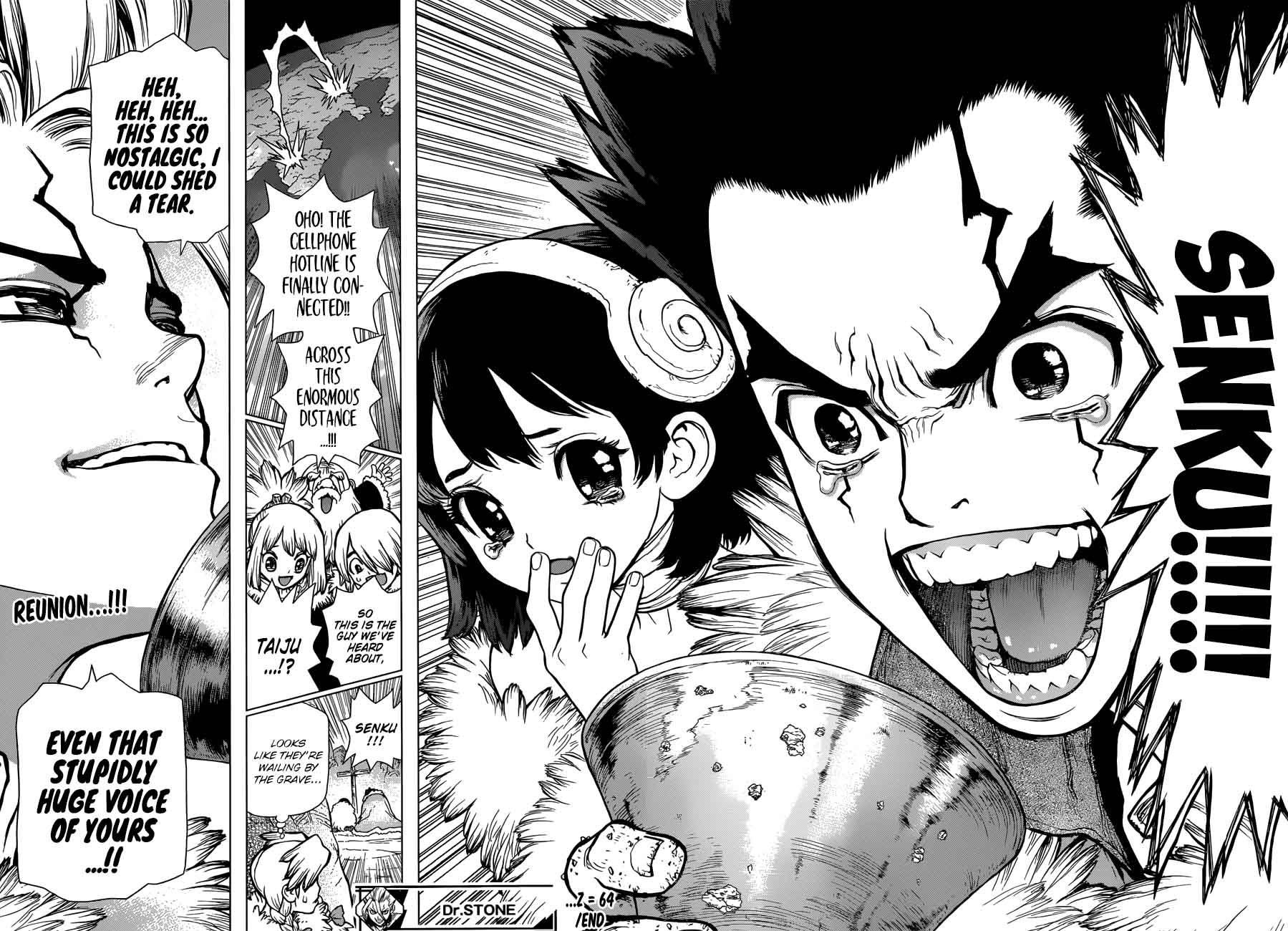 Dr Stone 64 17