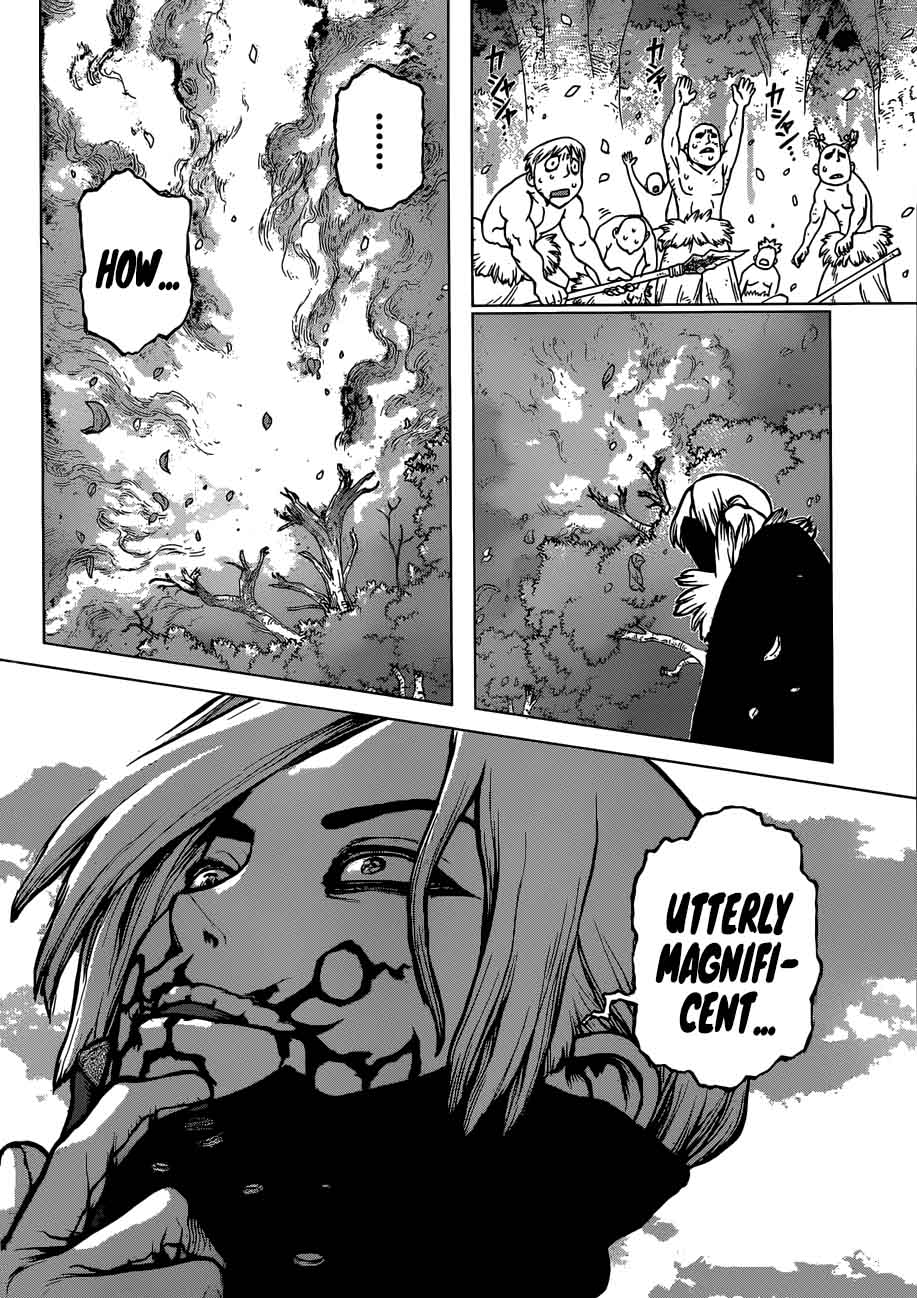 Dr Stone 78 5
