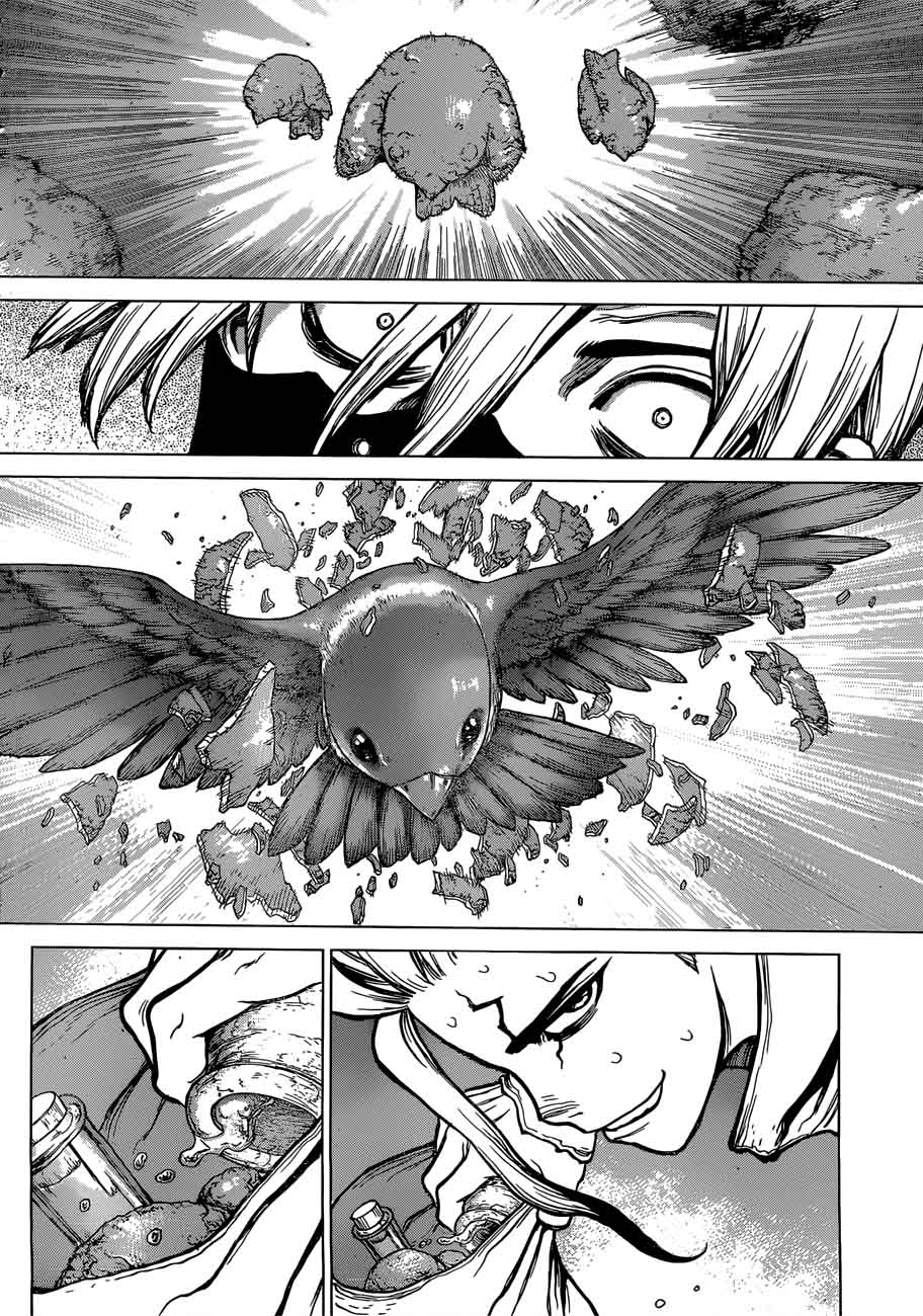 Dr Stone 80 14
