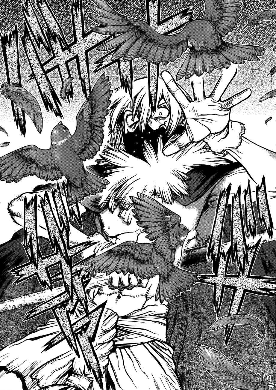Dr Stone 80 15