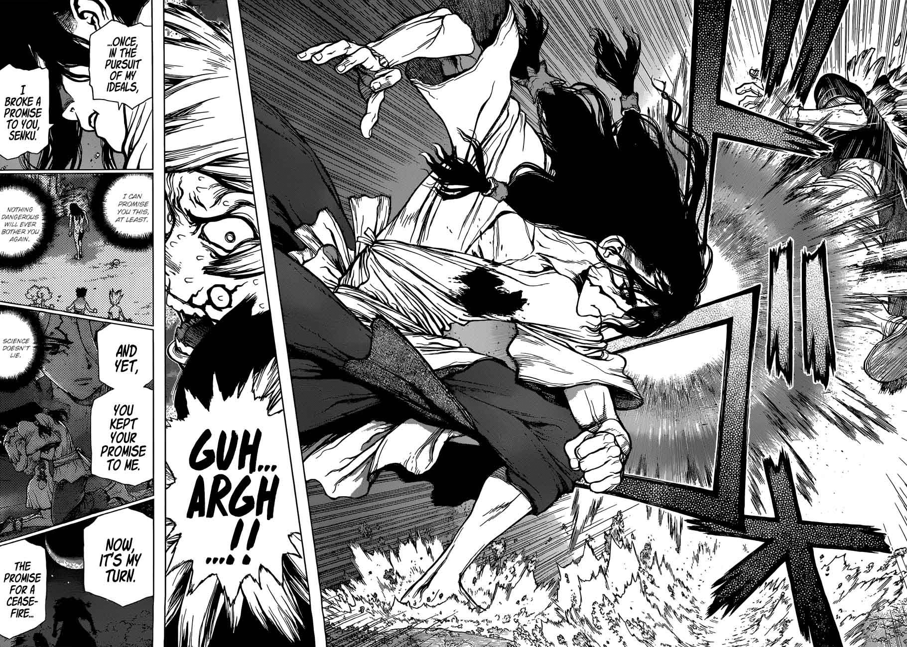 Dr Stone 80 16