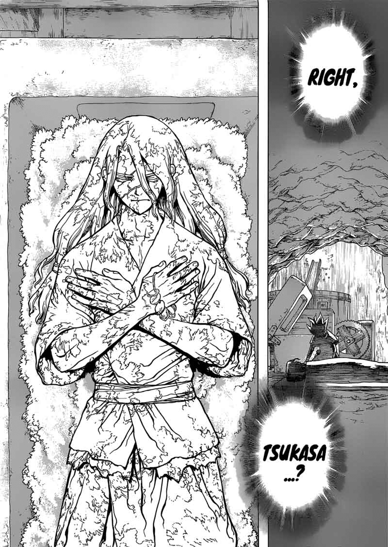 Dr Stone 83 19