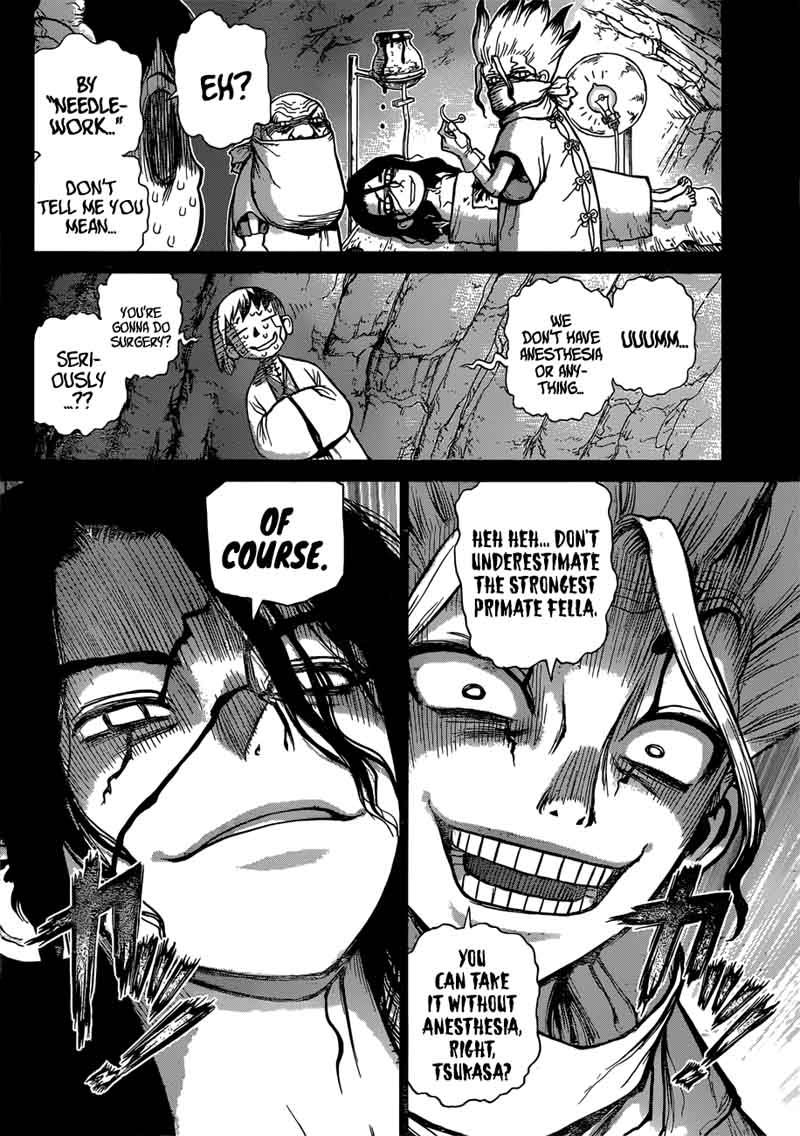 Dr Stone 83 5