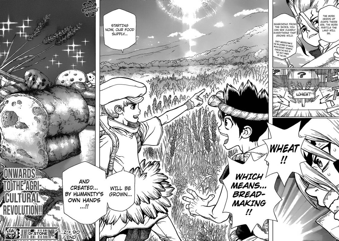 Dr Stone 90 17