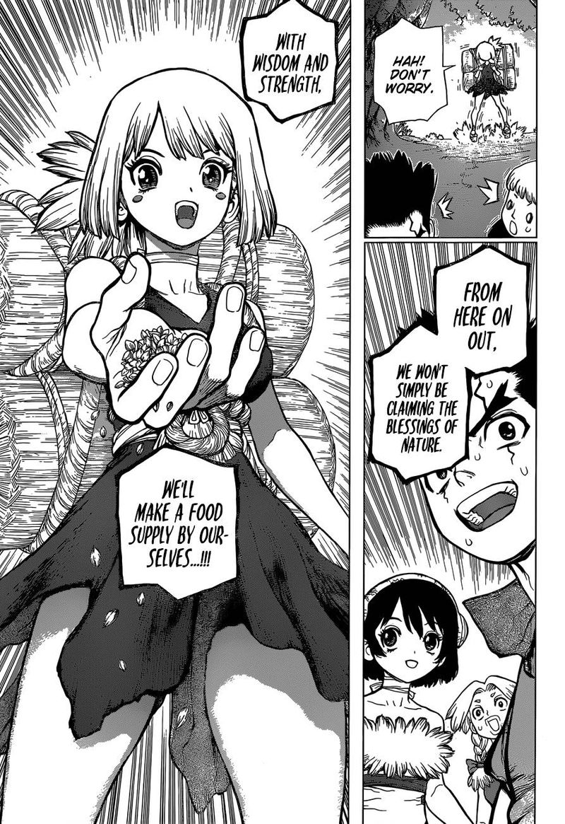 Dr Stone 91 5