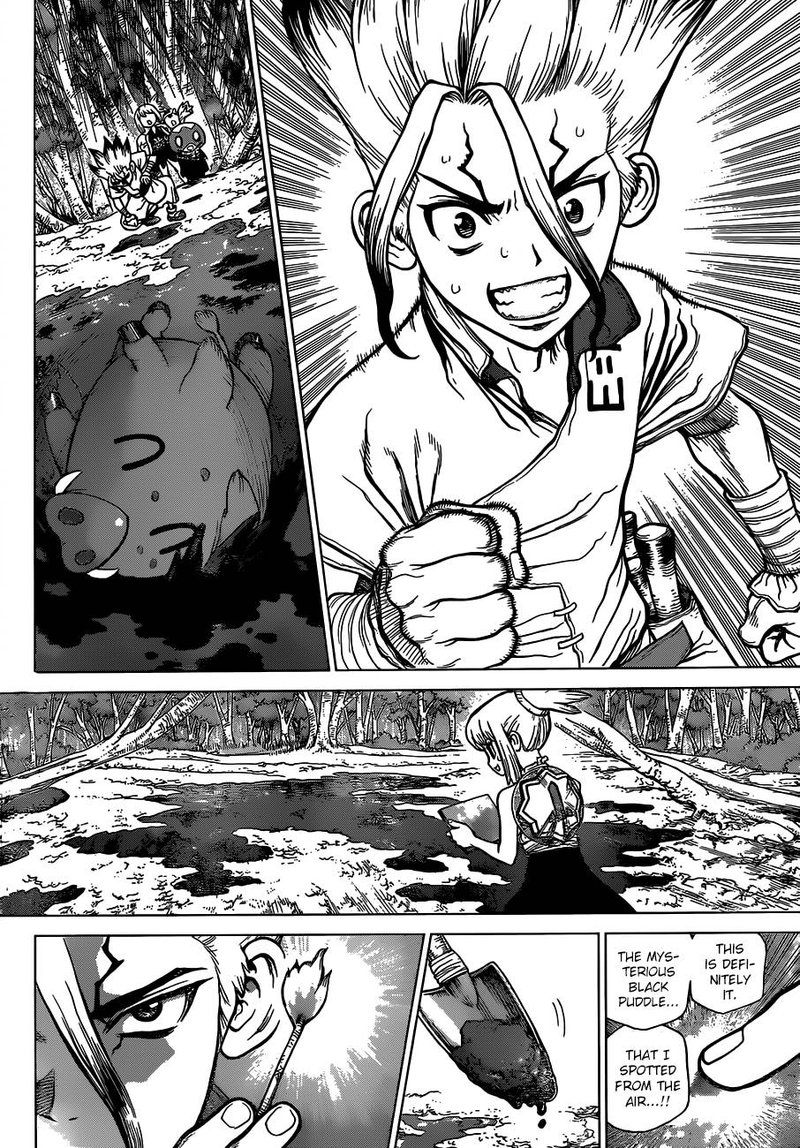 Dr Stone 95 5