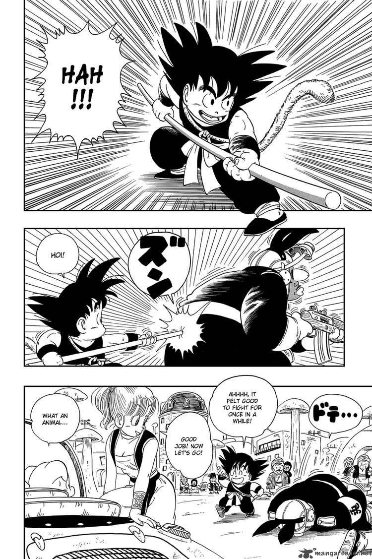 Dragon Ball 16 13