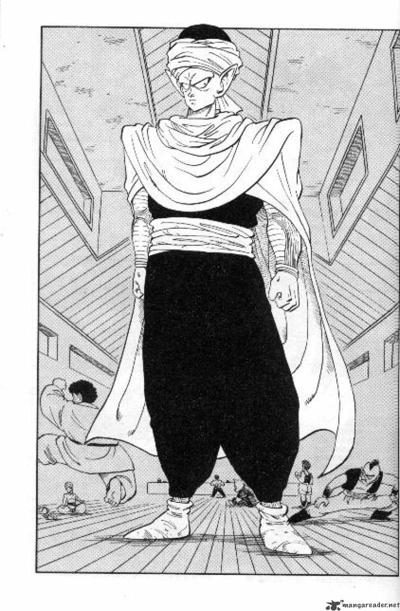 Dragon Ball 166 13