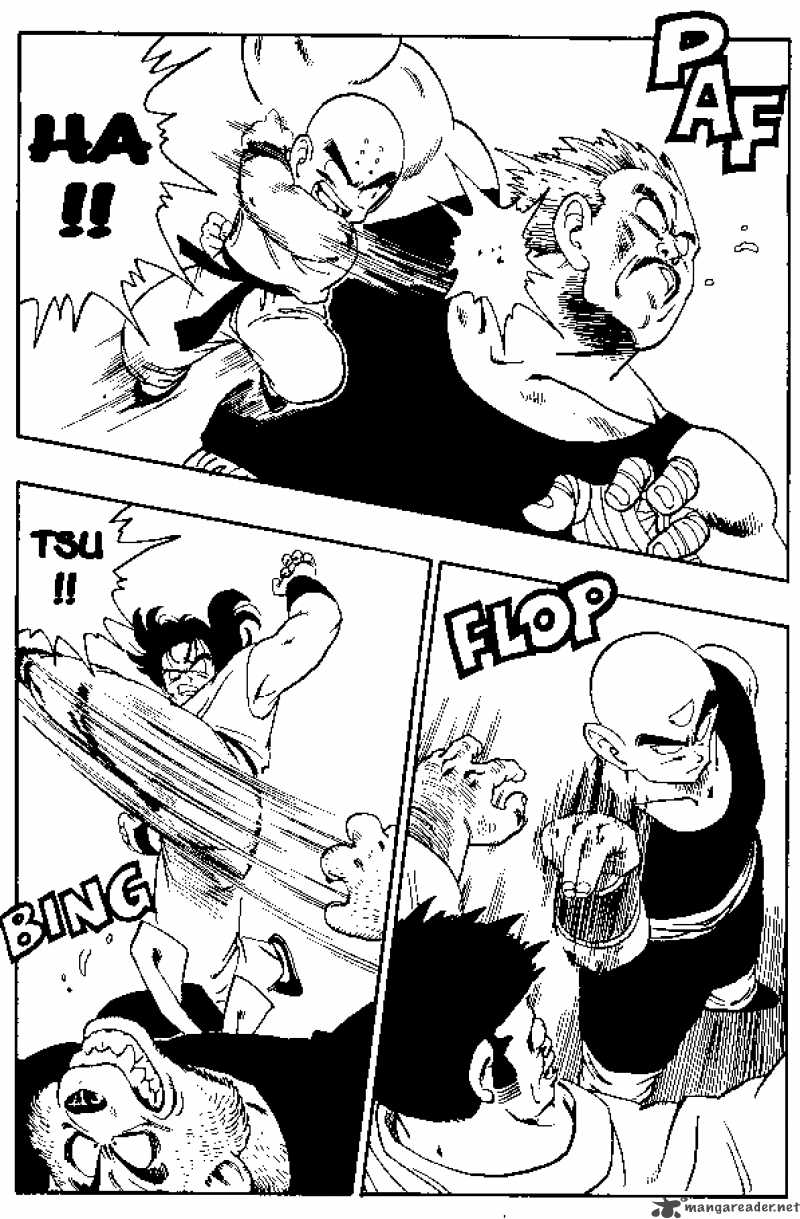 Dragon Ball 167 12
