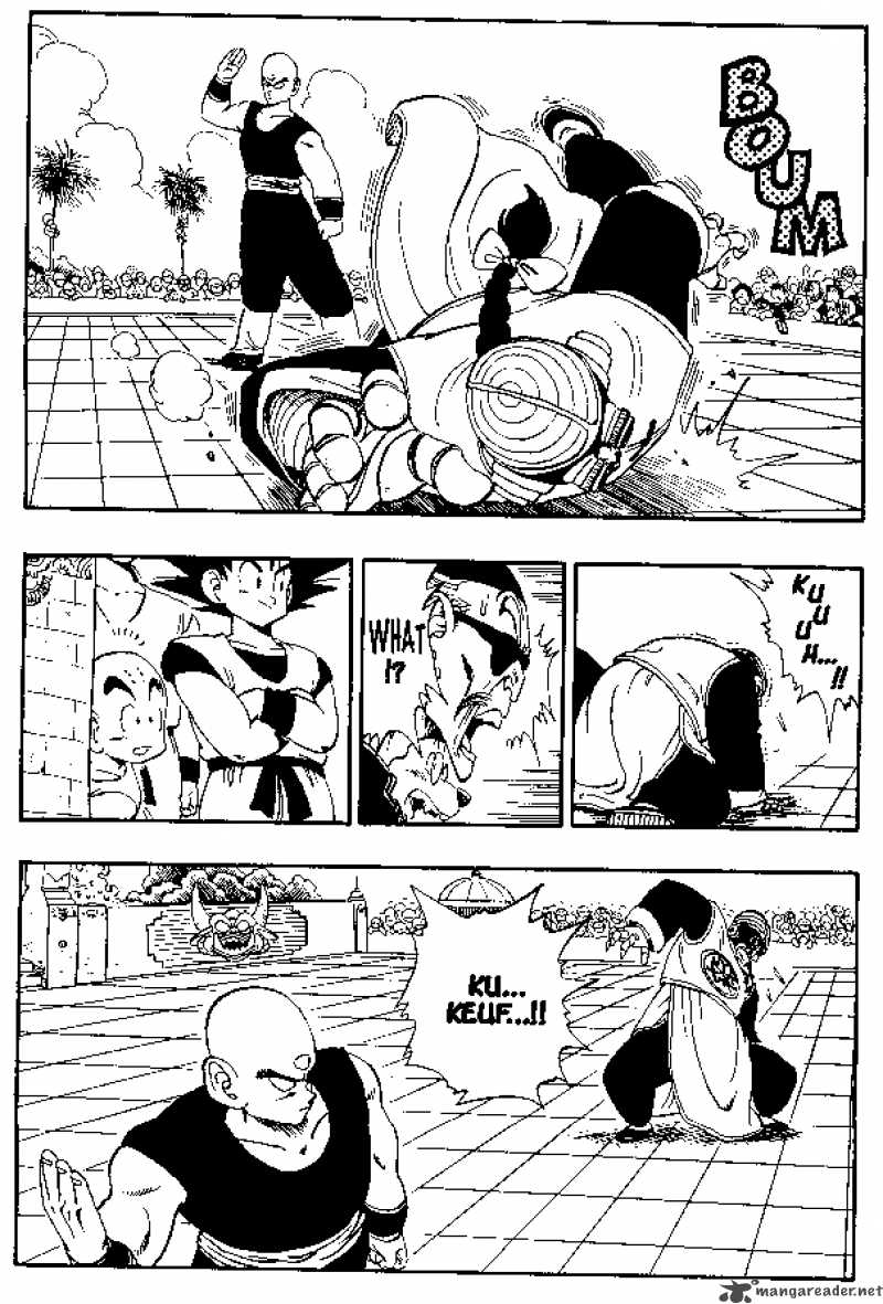 Dragon Ball 169 13