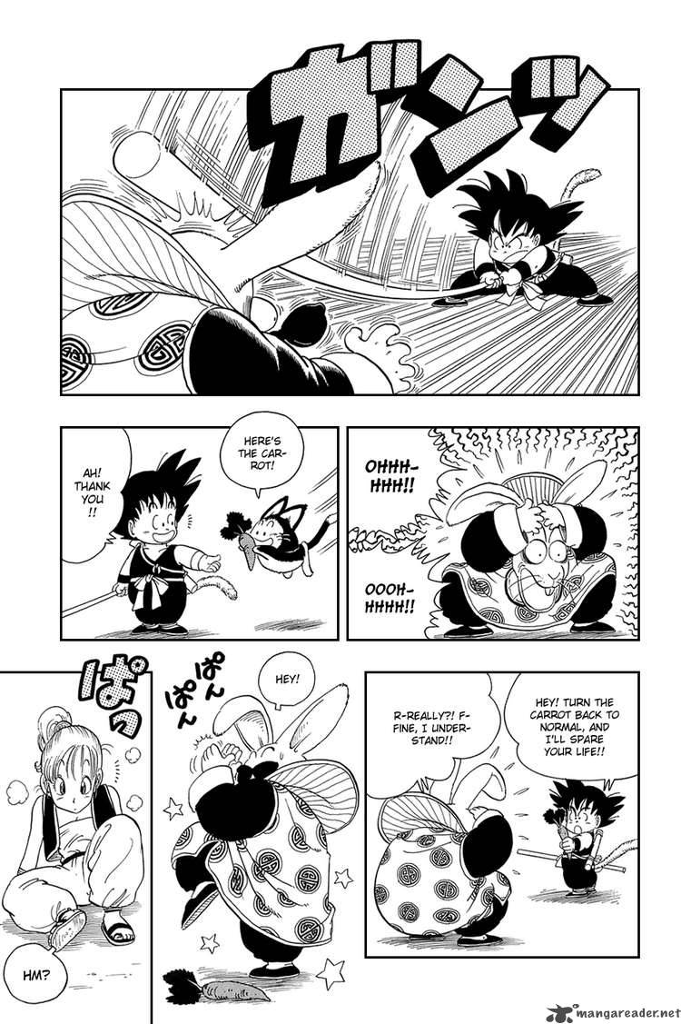 Dragon Ball 17 12
