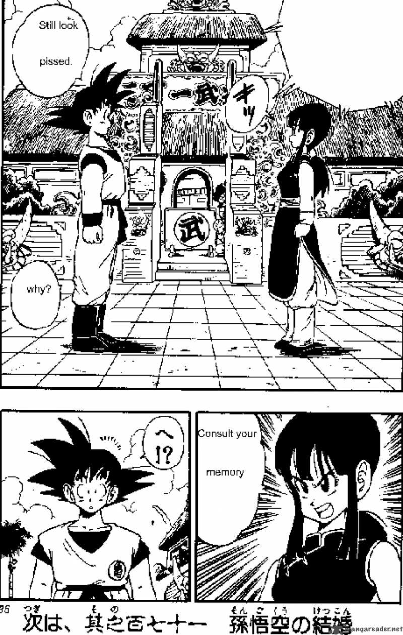 Dragon Ball 170 14