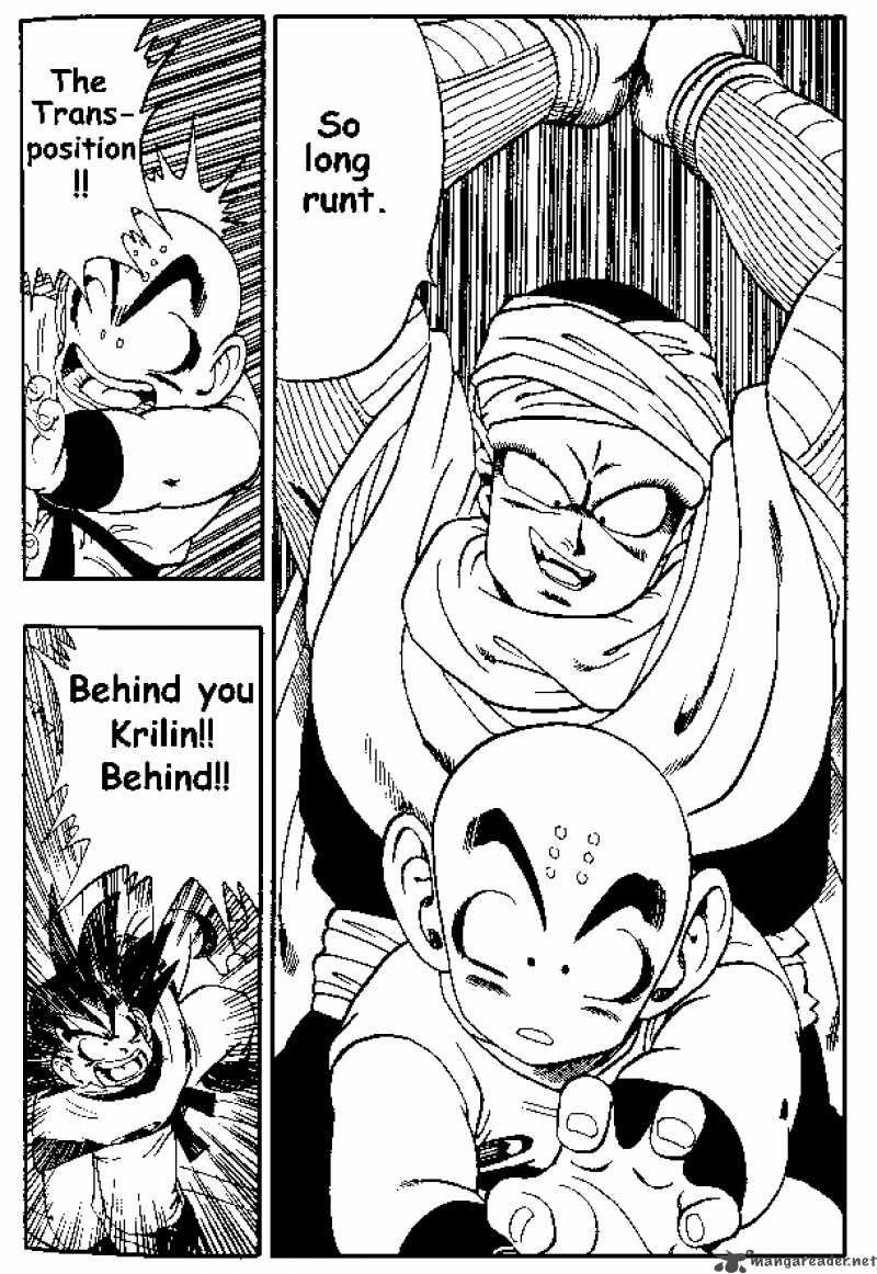 Dragon Ball 173 11