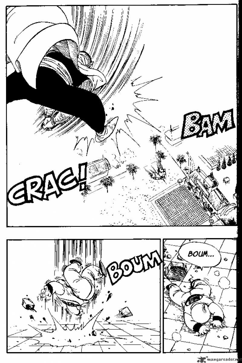 Dragon Ball 173 12