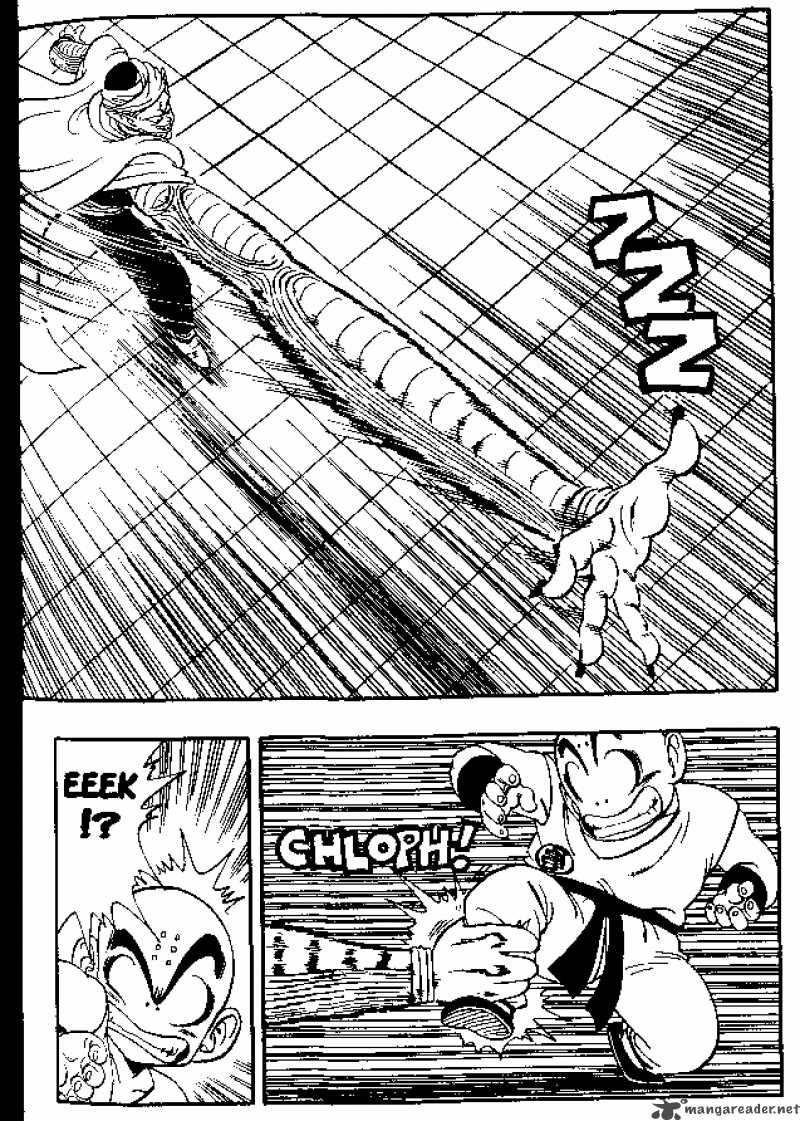 Dragon Ball 173 3