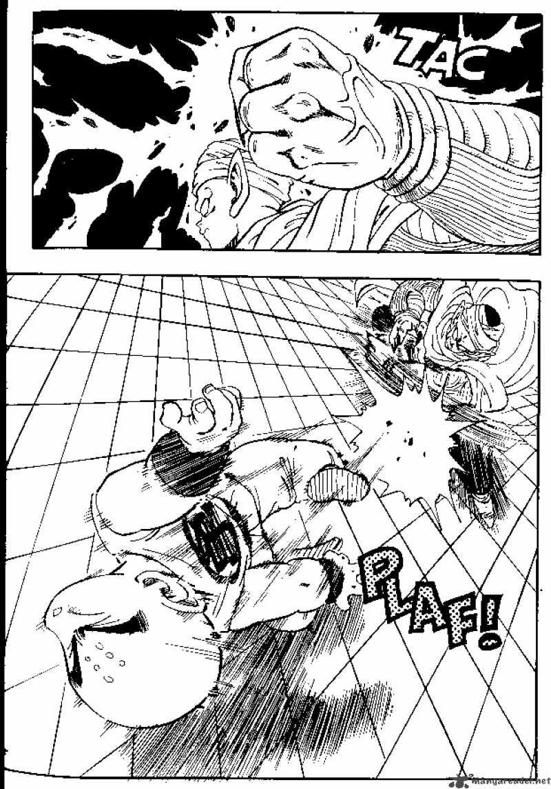 Dragon Ball 173 5