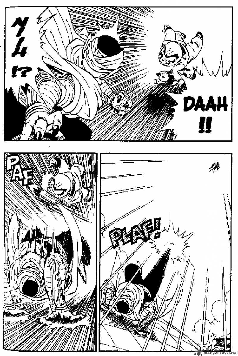 Dragon Ball 173 7