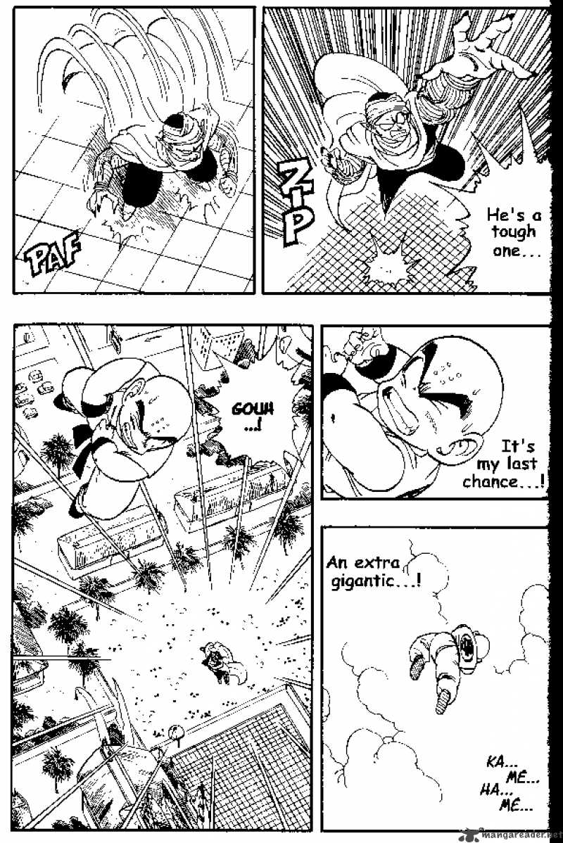 Dragon Ball 173 8