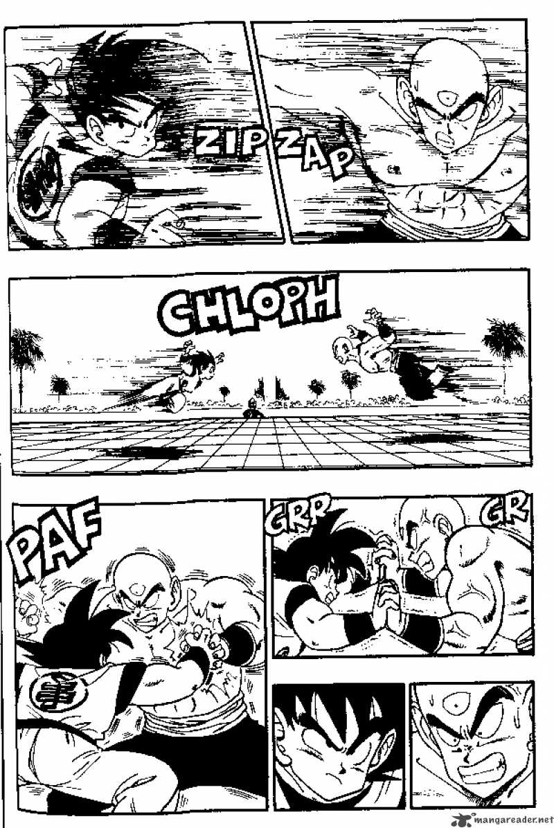 Dragon Ball 176 10