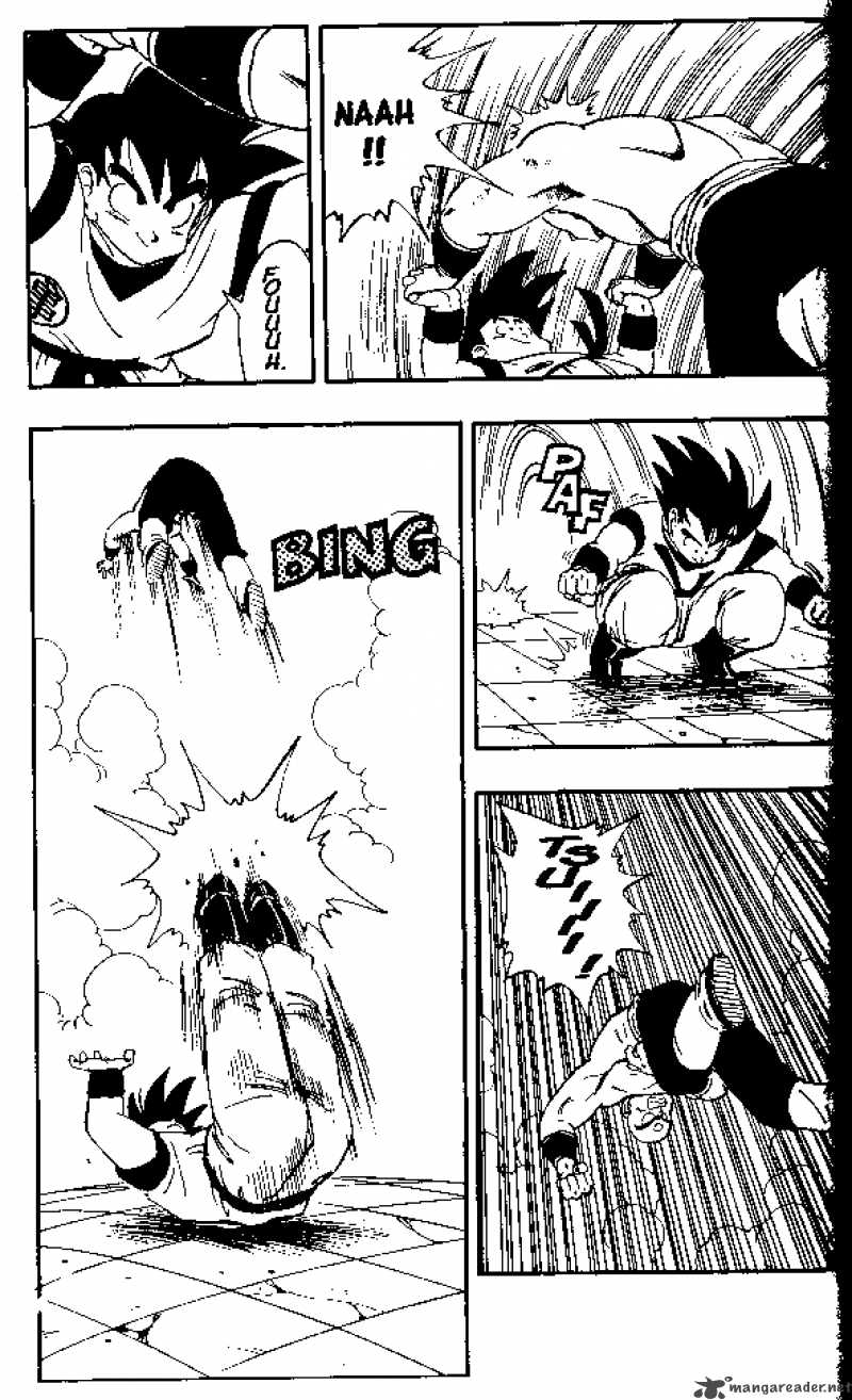 Dragon Ball 176 11