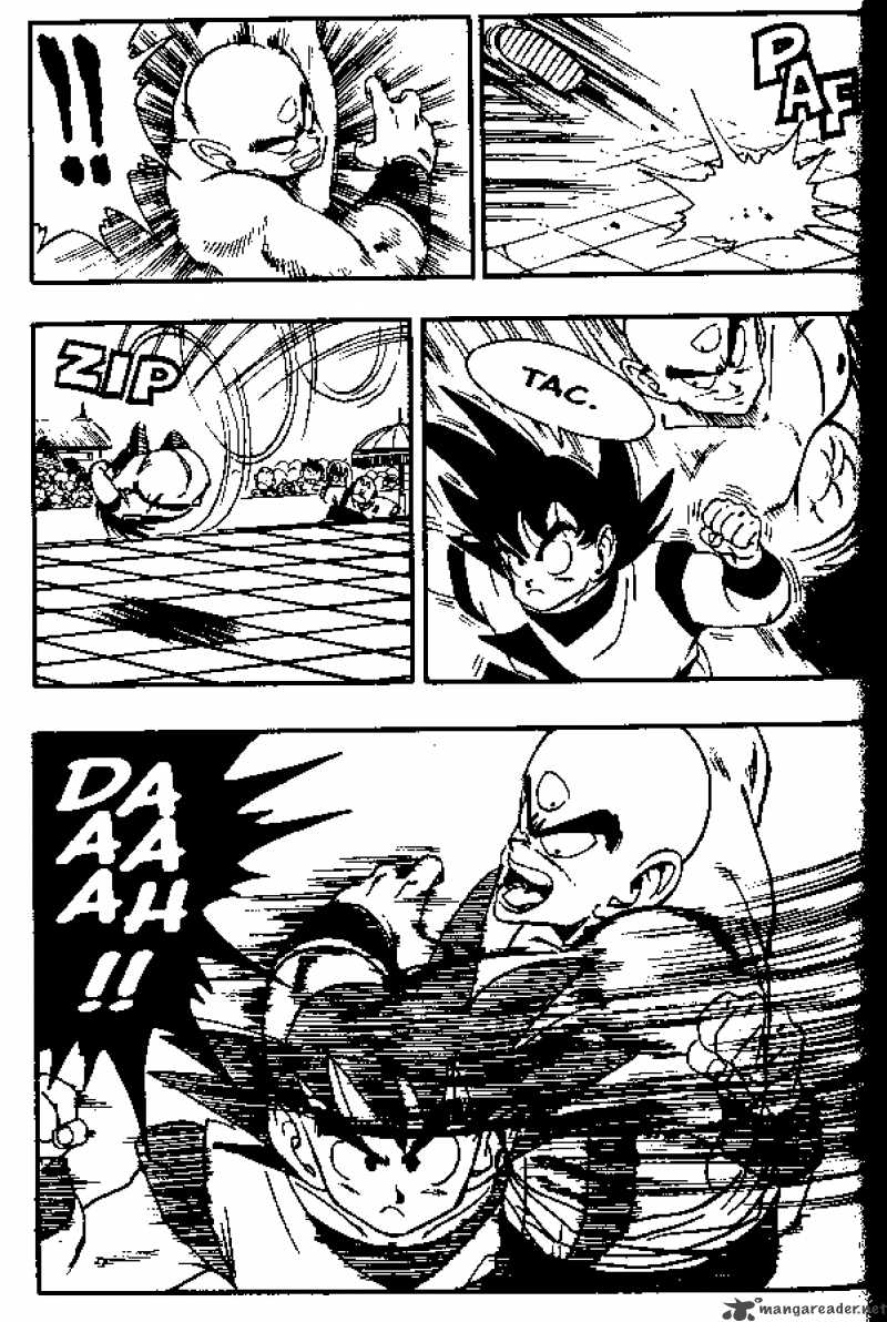 Dragon Ball 176 13