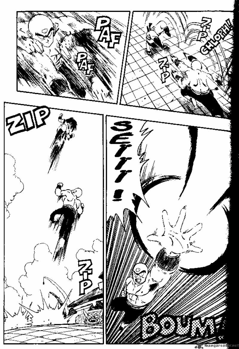 Dragon Ball 176 5