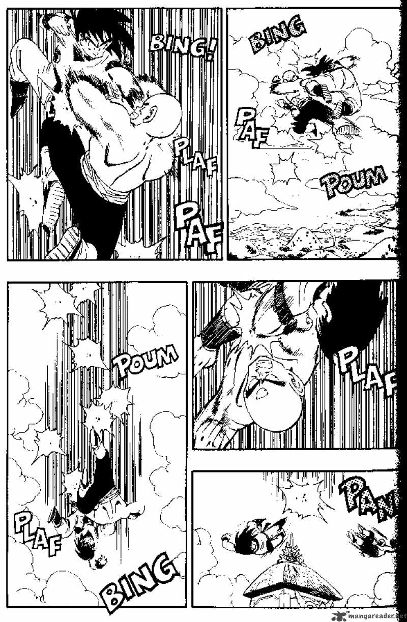 Dragon Ball 176 7