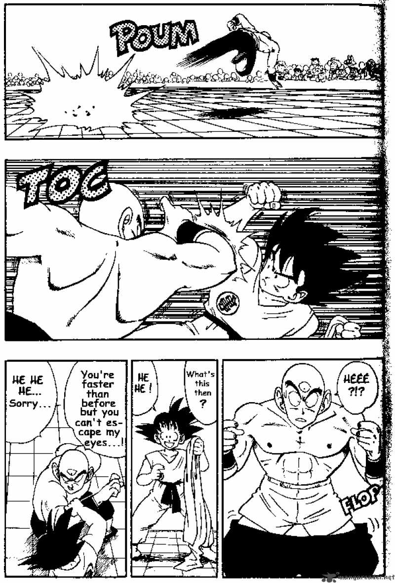 Dragon Ball 177 14