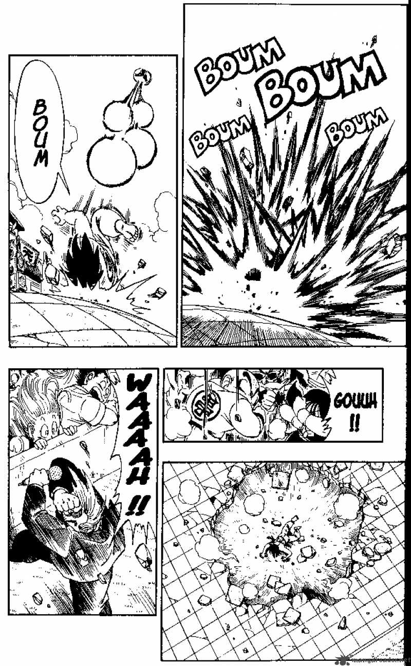 Dragon Ball 183 10