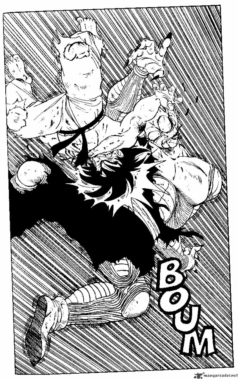 Dragon Ball 193 11