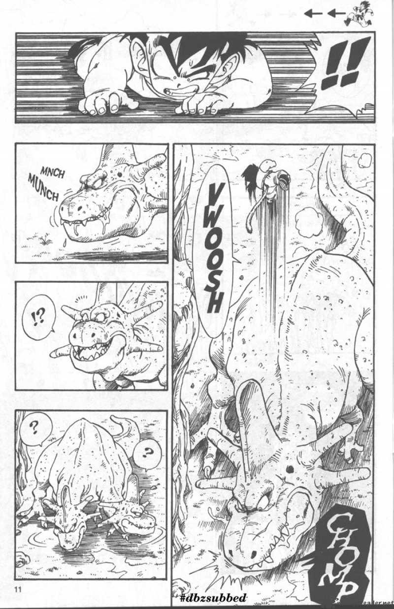 Dragon Ball 207 11
