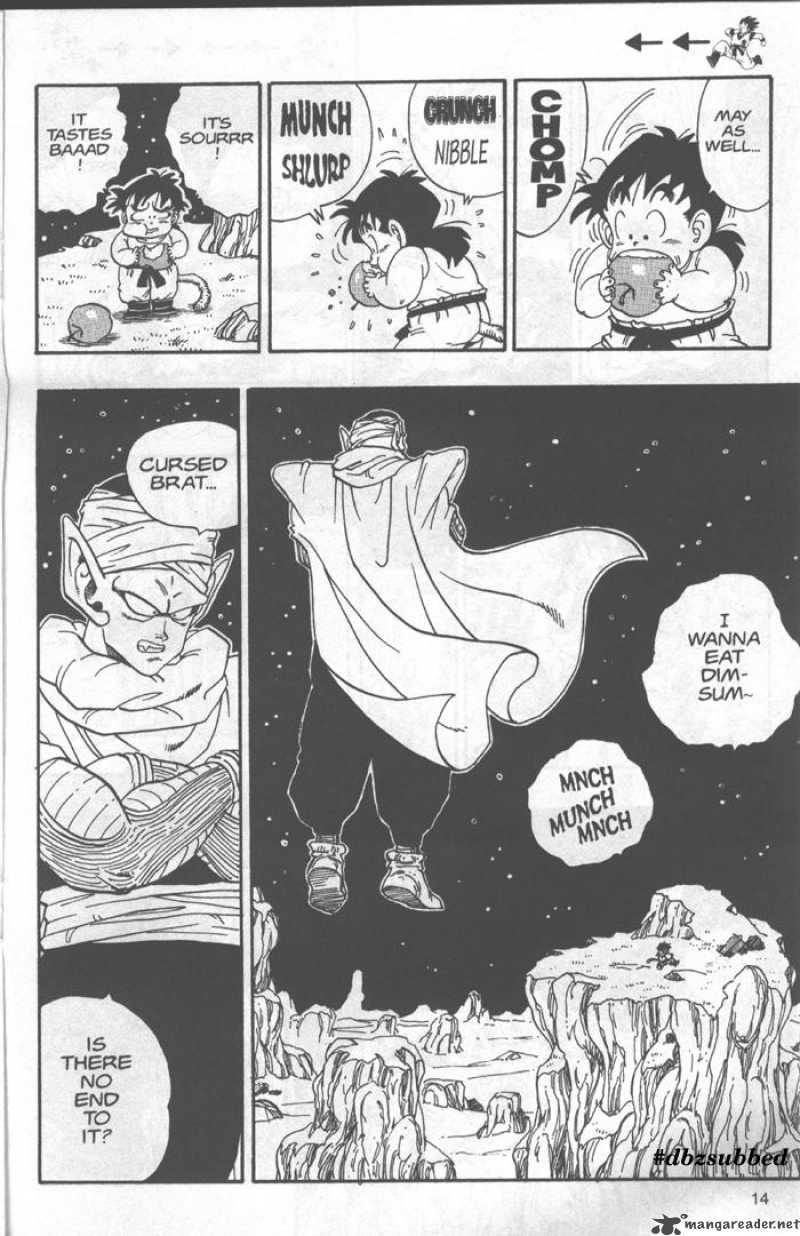 Dragon Ball 207 14