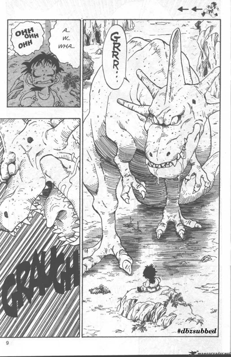 Dragon Ball 207 9
