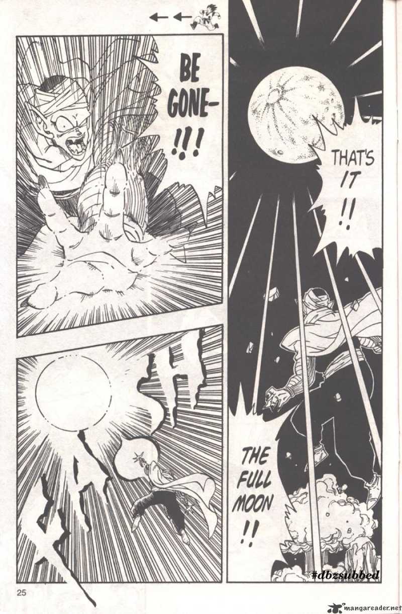 Dragon Ball 208 10