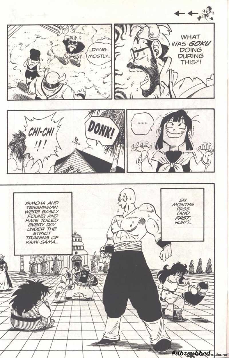 Dragon Ball 209 11