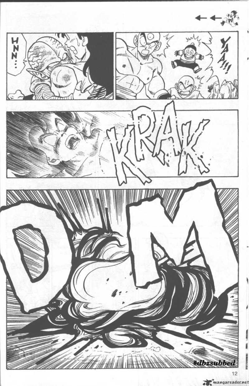 Dragon Ball 215 12