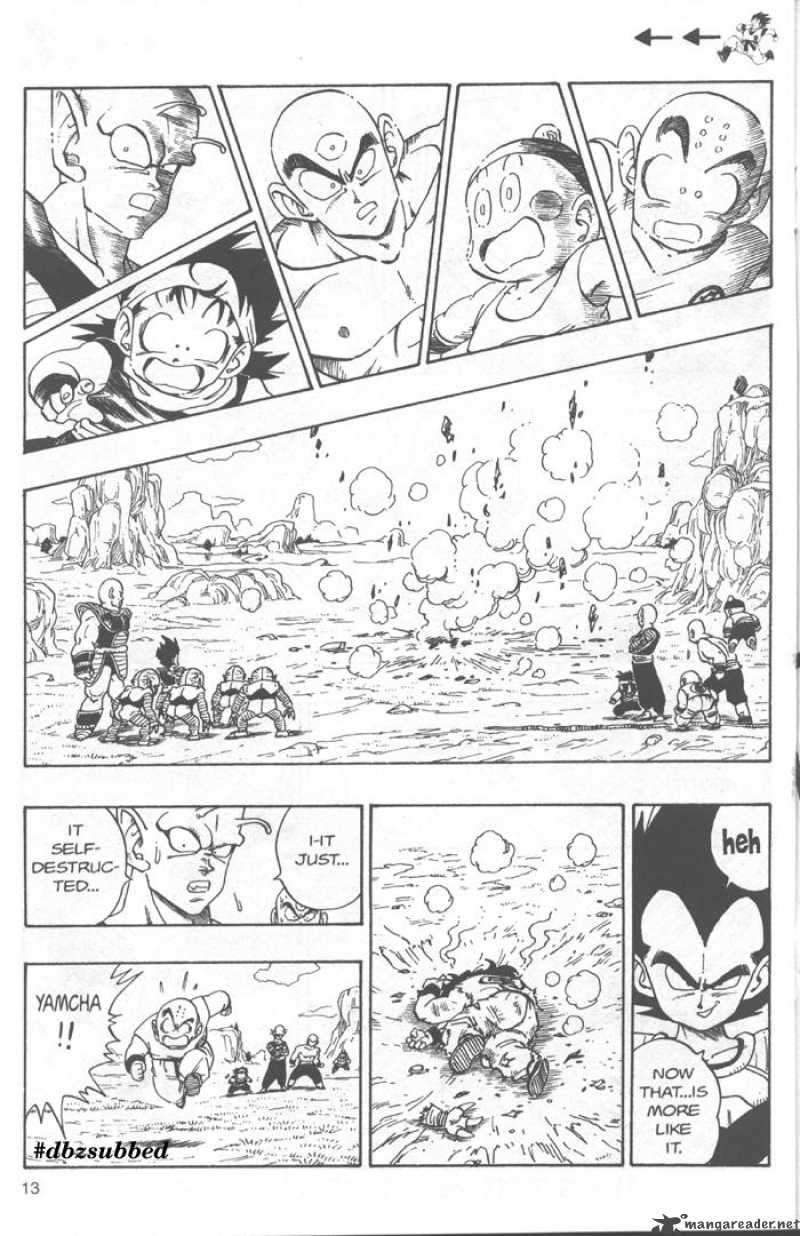 Dragon Ball 215 13