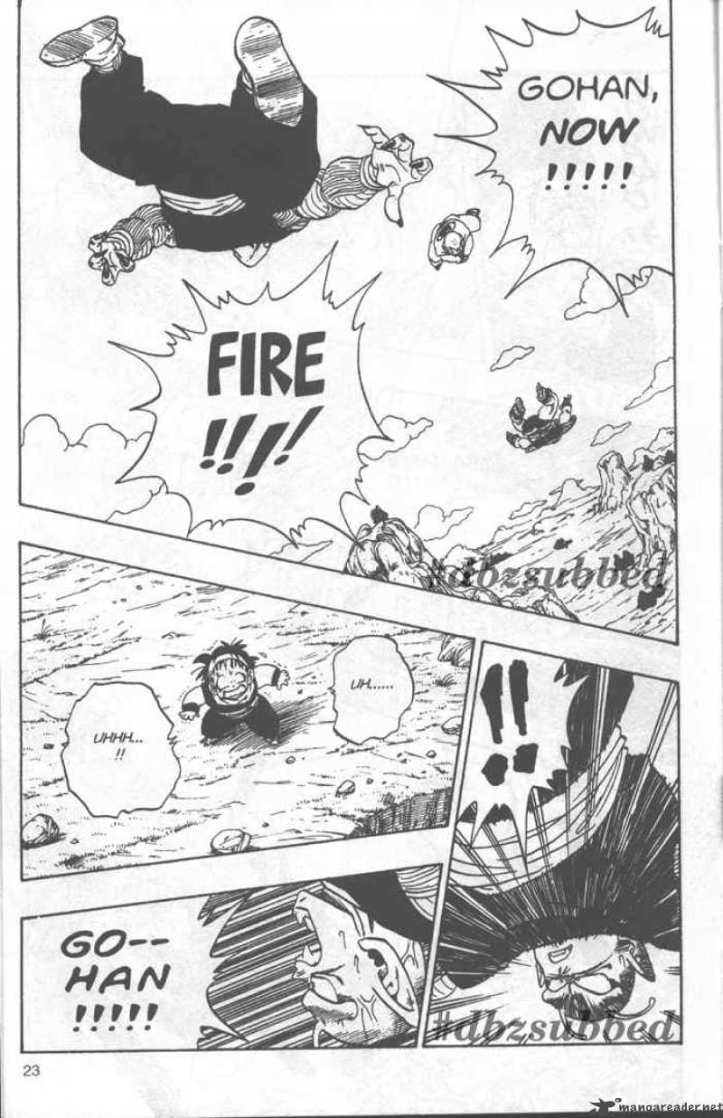 Dragon Ball 218 8