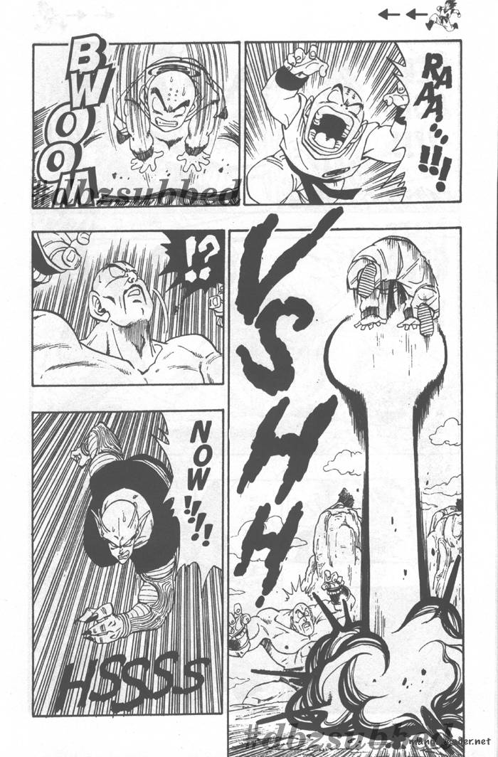 Dragon Ball 220 11