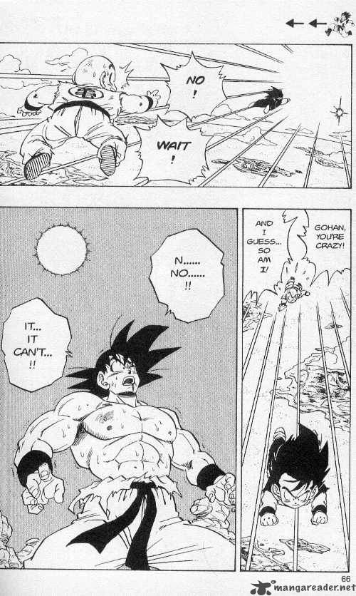 Dragon Ball 233 8
