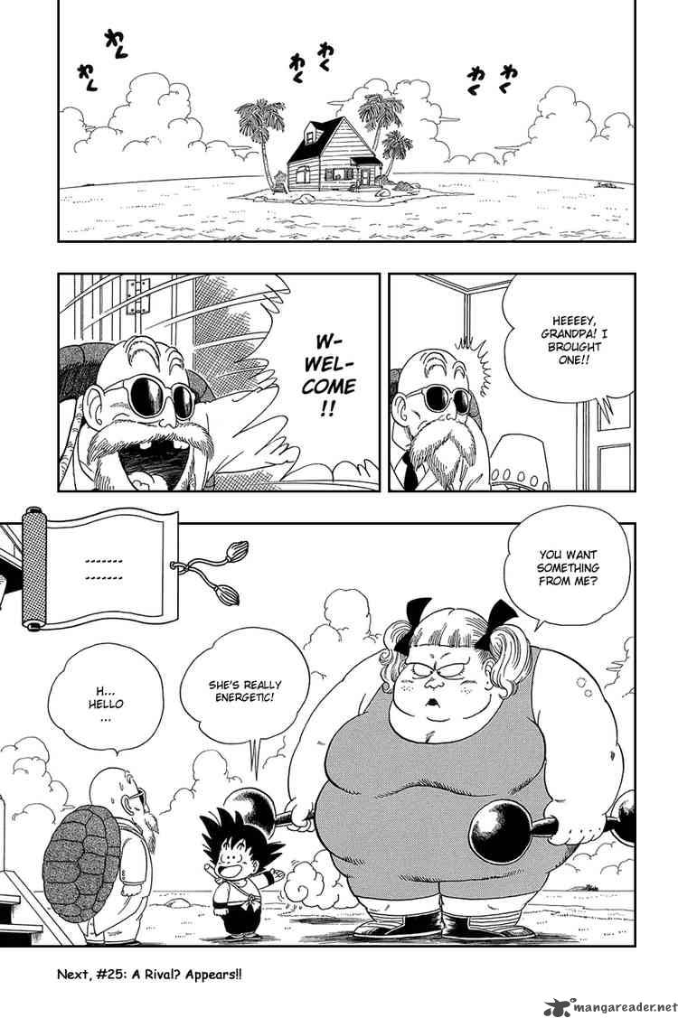 Dragon Ball 24 14