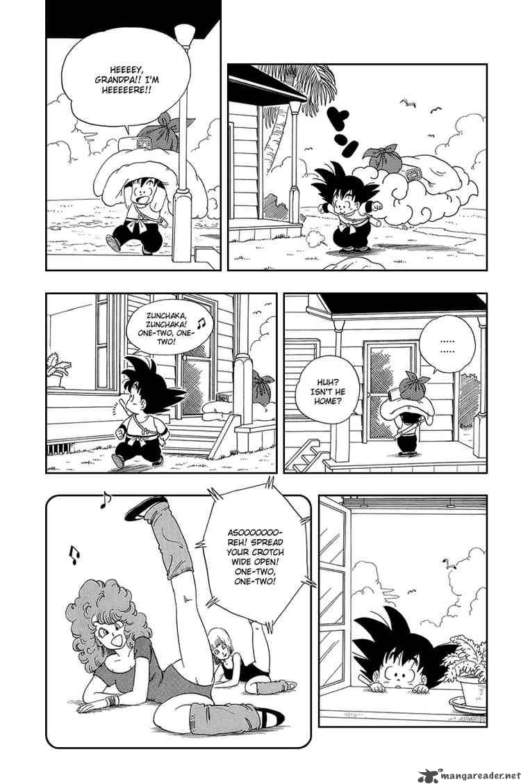Dragon Ball 24 4