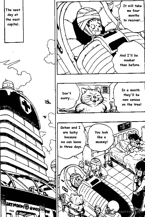 Dragon Ball 243 9