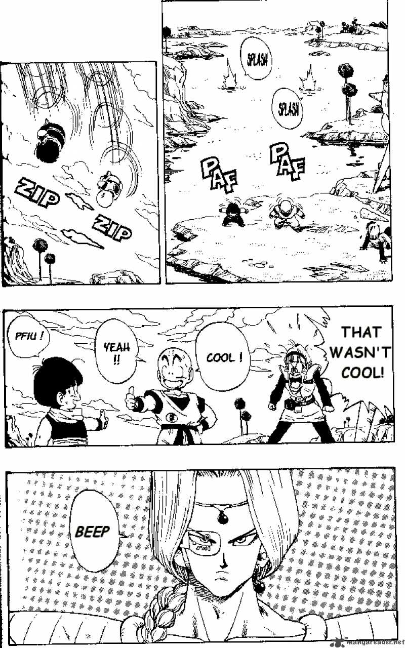 Dragon Ball 248 11